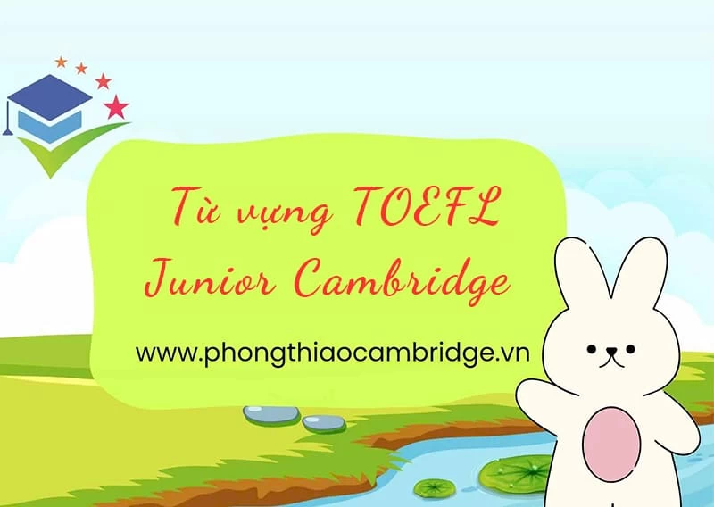 Từ vựng TOEFL Junior Cambridge đa dạng theo chủ đề