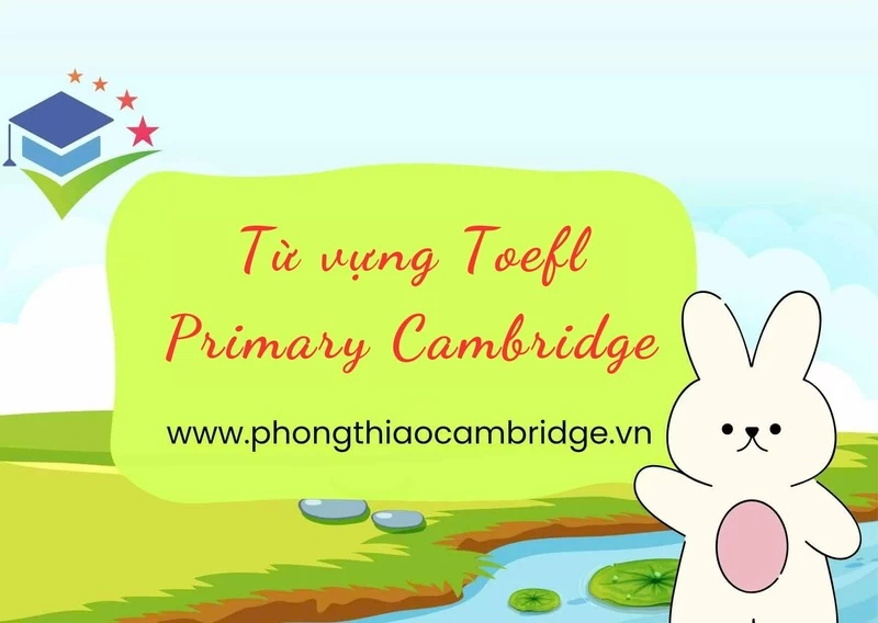 Từ vựng Toefl Primary Cambridge giúp bé cải thiện điểm số
